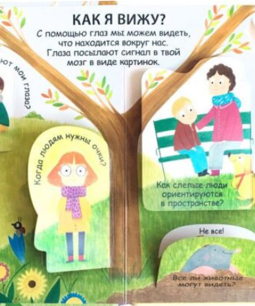 Энциклопедии 40 окошек Как я вижу  слышу и чувствую купить,NaN