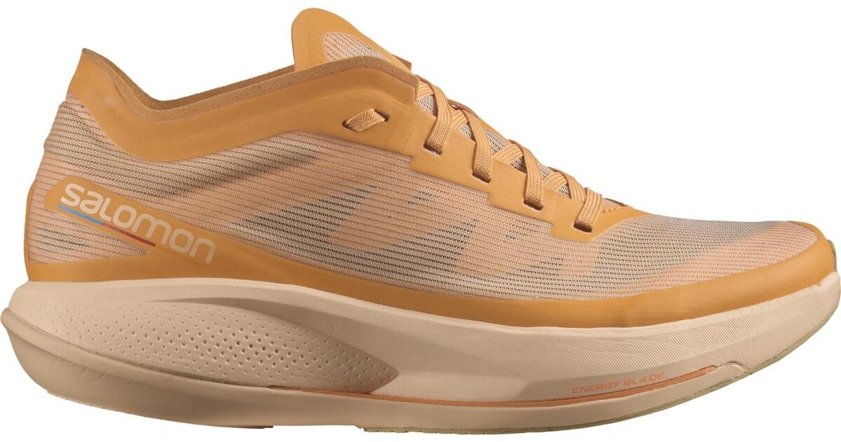 Salomon L41610500 оранжевый
