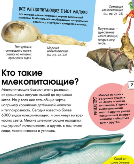 Энциклопедии Агоста Л.  Детская энциклопедия Животные купить,NaN