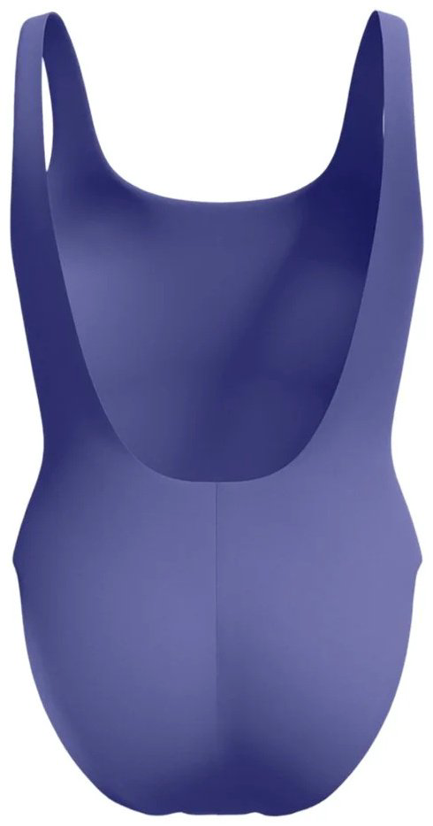 Купальник слитный Speedo голубой купить,23900