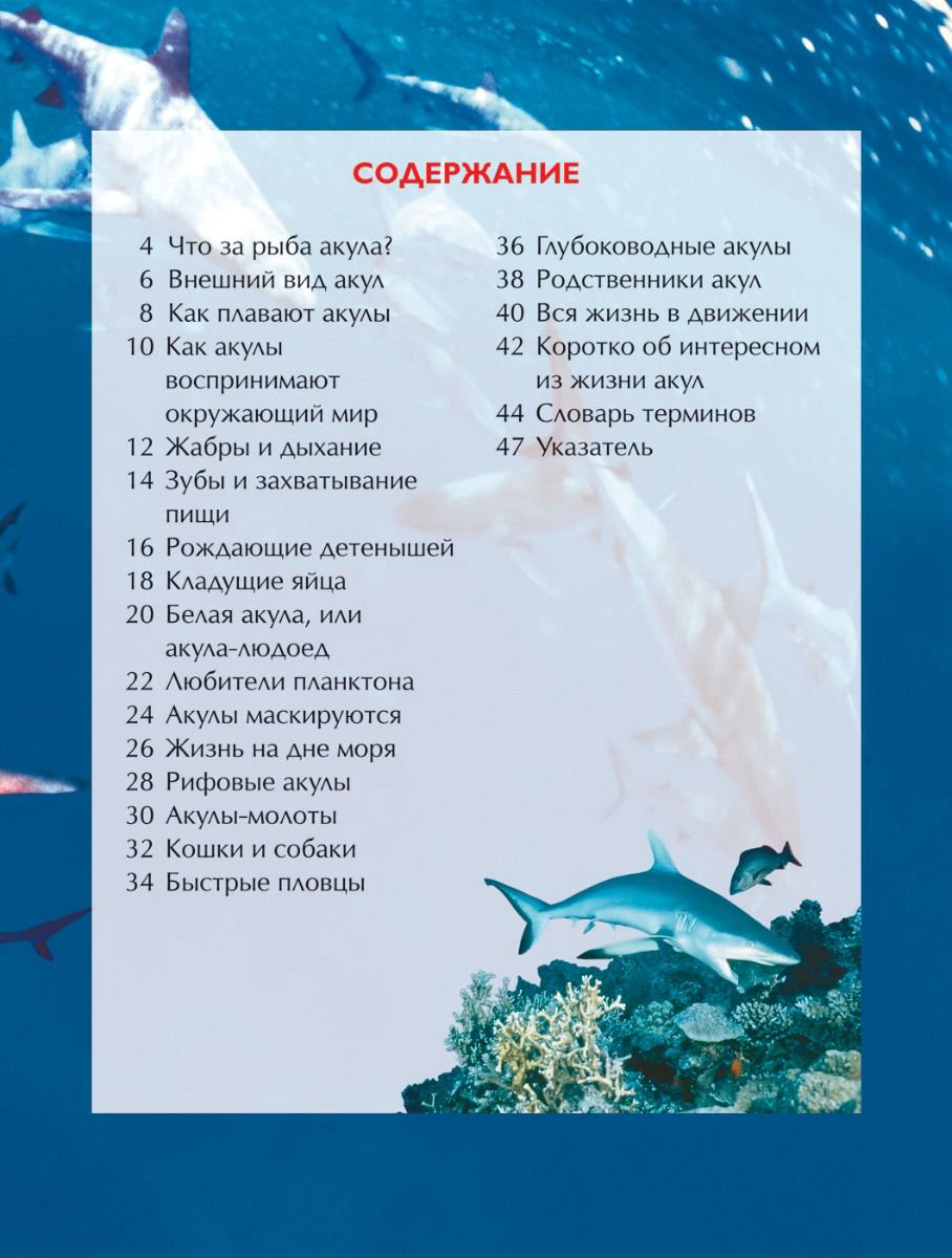 Энциклопедия Акулы. Детская энциклопедия купить,NaN