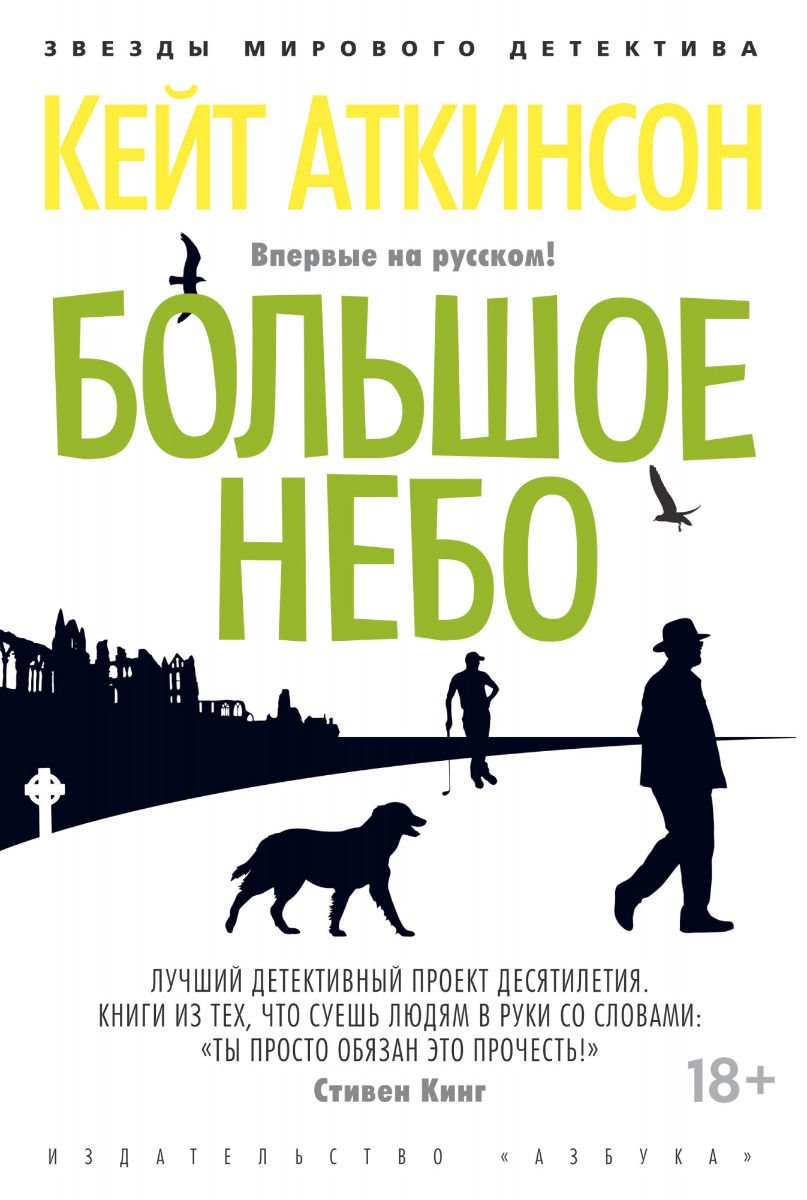 Художественная литература Аткинсон К. Большое небо купить,NaN