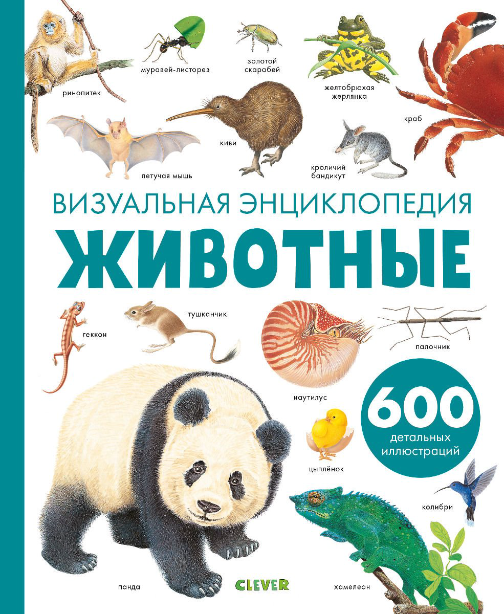 Энциклопедия Бадреддин Д. Любимая детская энциклопедия. Животные. Визуальная энциклопедия купить,NaN