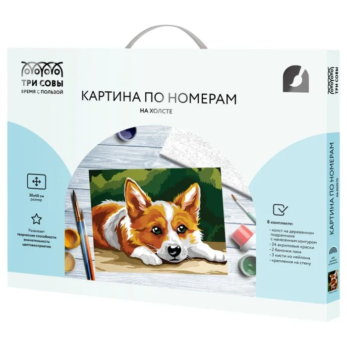 Картина по номерам Три Совы Малыш корги 30х40 купить,NaN