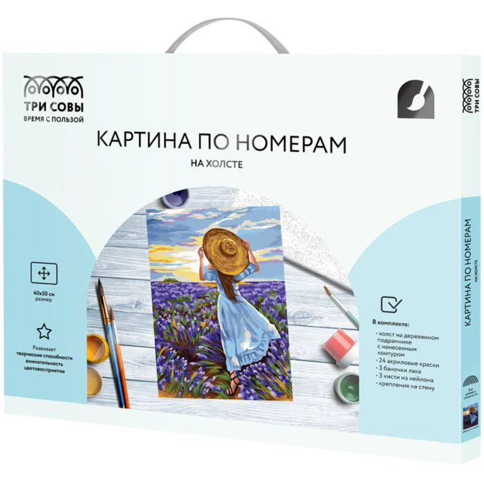 Картина по номерам на холсте Три совы Девушка в шляпе 40x50 купить,NaN