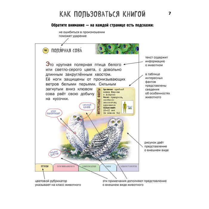 Энциклопедия Ананьева Е. Г. Все насекомые птицы рыбы с крупными буквами купить,NaN