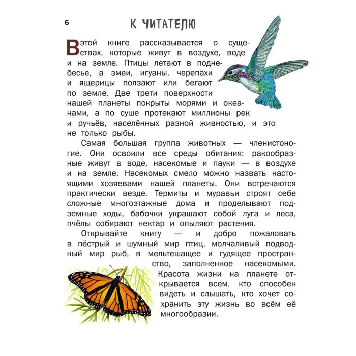 Энциклопедия Ананьева Е. Г. Все насекомые птицы рыбы с крупными буквами купить,NaN
