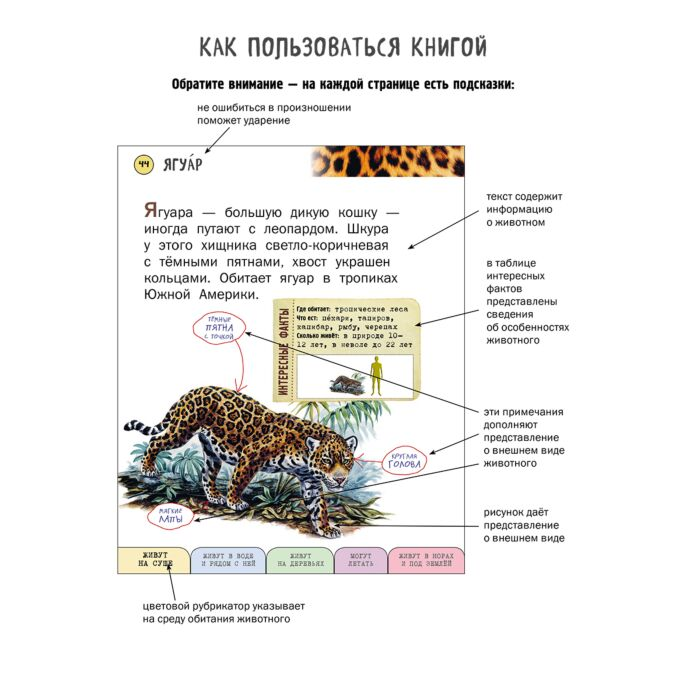 Энциклопедия Ананьева Е. Г. Все млекопитающие с крупными буквами купить,NaN
