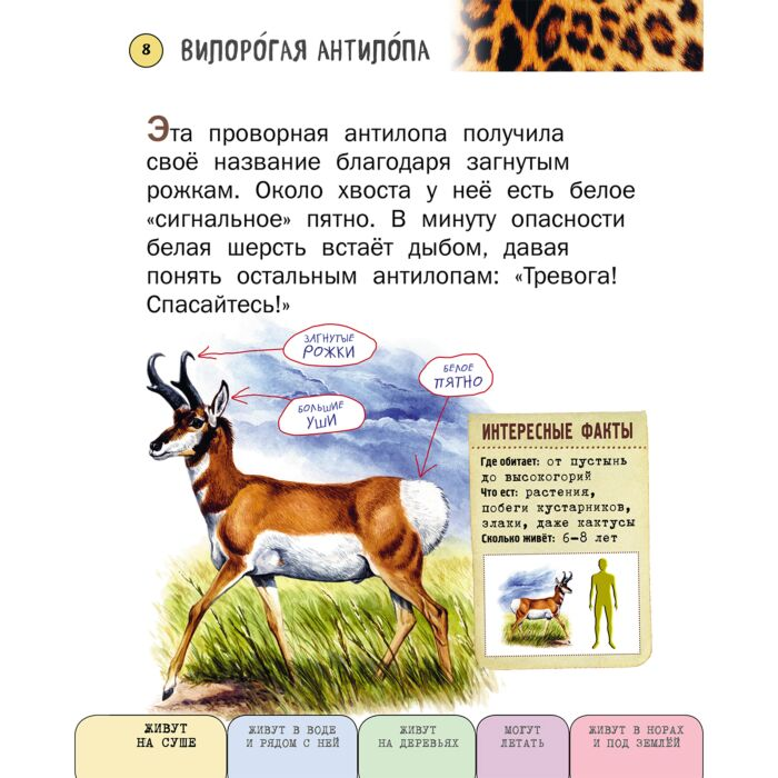 Энциклопедия Ананьева Е. Г. Все млекопитающие с крупными буквами купить,NaN