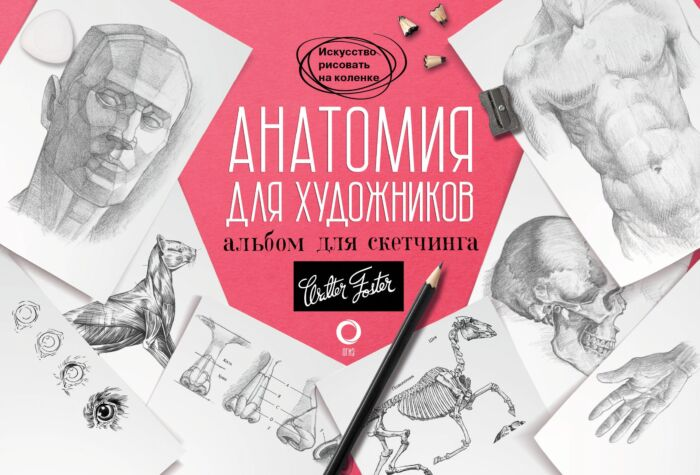 Искусство Анатомия для художников альбом для скетчинга купить,NaN