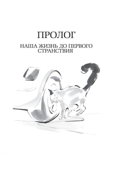 Современная проза Арикава Х.  Хроники странствующего кота.  мягкая обложка купить,NaN