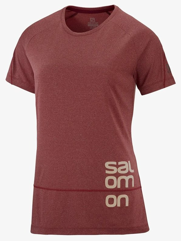 Футболка Salomon бордовый купить,NaN