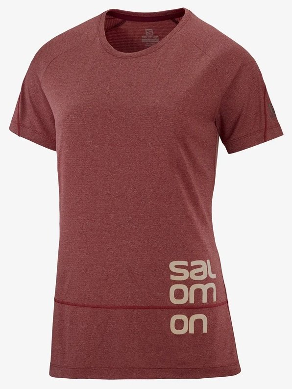Футболка Salomon бордовый купить,NaN