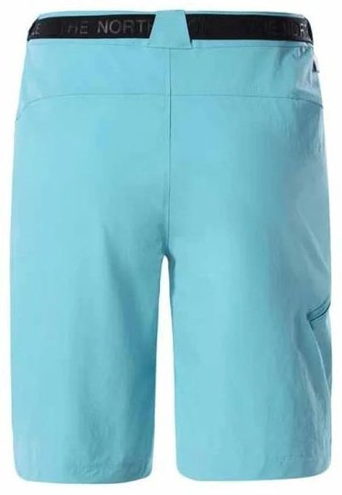 Спортивные шорты The North Face голубой купить,NaN