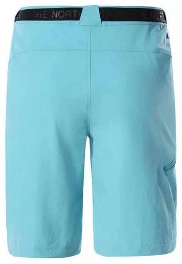 Спортивные шорты The North Face голубой купить,NaN