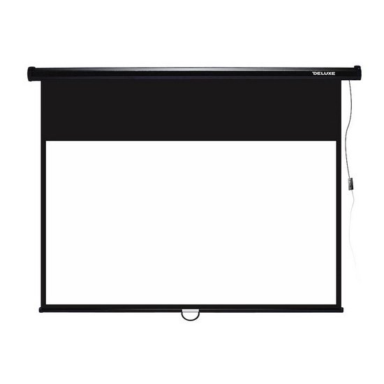 Экран моторизированный Deluxe DLS-E274x210 108х83" черный купить,NaN