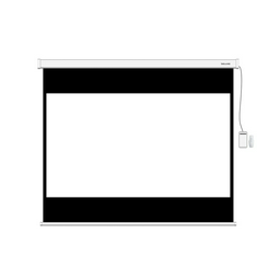Экран моторизированный Deluxe DLS-ERC274х206W 108х81 белый