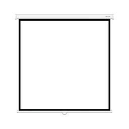 Экран Deluxe DLS-M244W 96"х96" белый