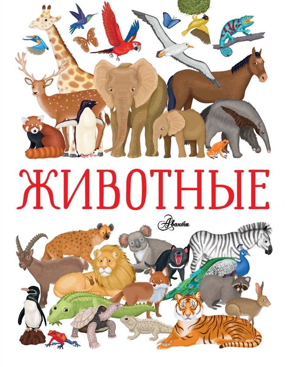 Энциклопедия Барсотти И. Животные купить,NaN