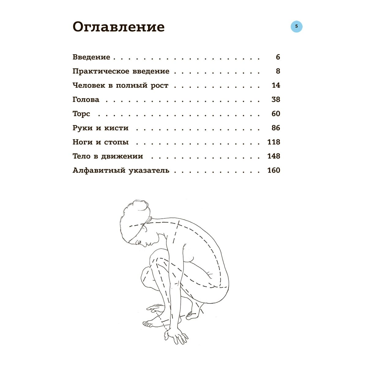 Рисование Барбер Б. Анатомия для художников купить,NaN