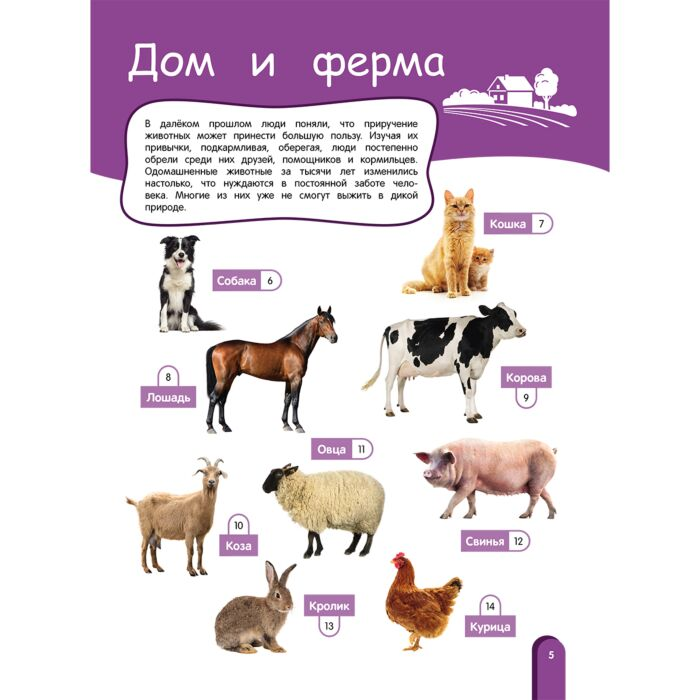 Энциклопедии Баранова Н.Н. Удивительный мир животных Энциклопедия для детей купить,NaN