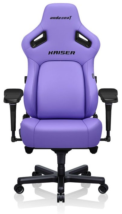 Игровое кресло AndaSeat AD12YDDC-XLL-20-V-PV/C, фиолетовый купить,NaN