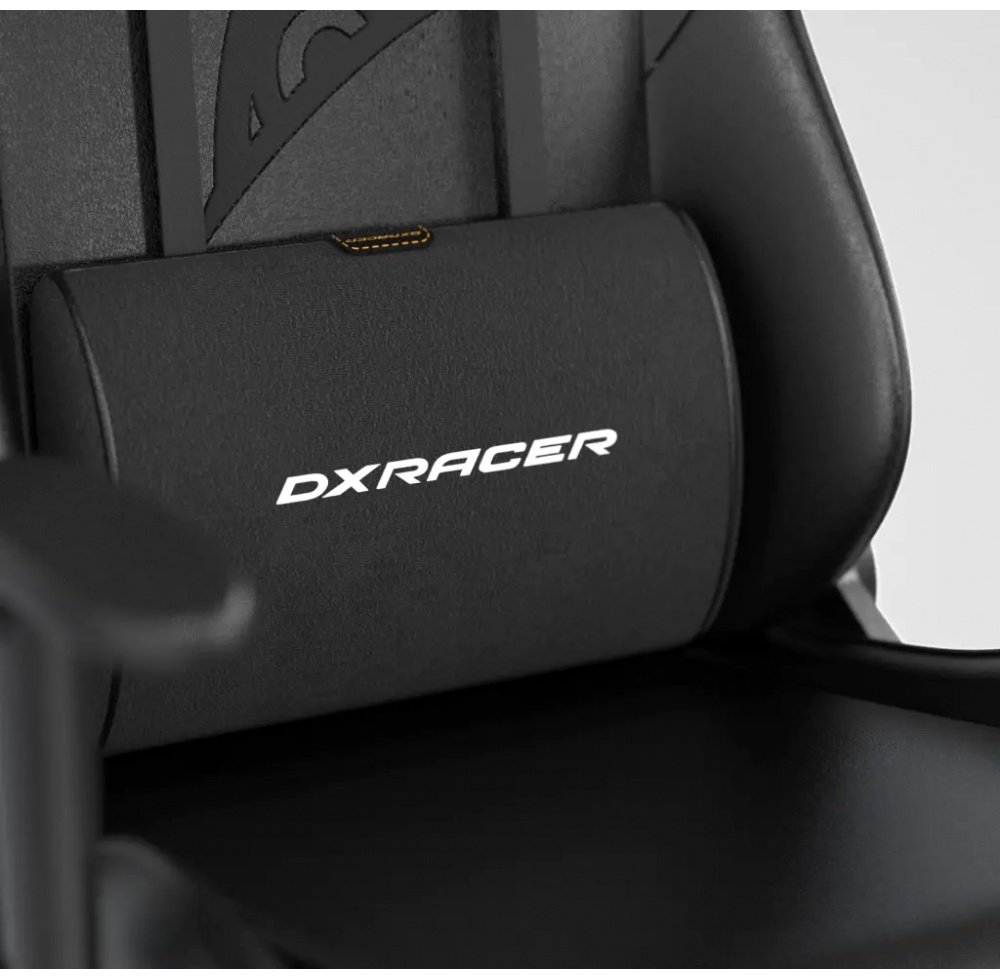 Игровое кресло DXRacer GC/LFD23LTC/ZERO, черный, белый купить,NaN