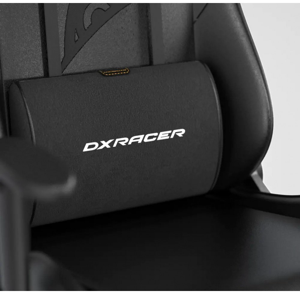 Игровое кресло DXRacer GC/LFD23LTC/ZERO, черный, белый купить,NaN