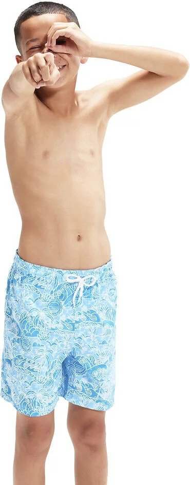 Шорты Speedo голубой купить,NaN