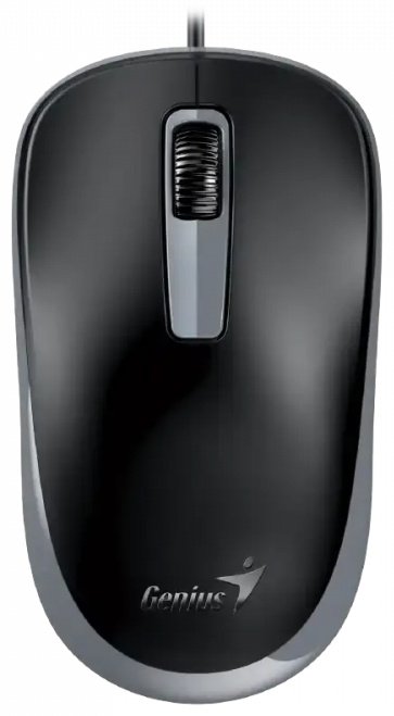 Мышь Genius DX-125S черный