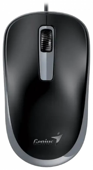 Мышь Genius DX-125S черный купить,2240