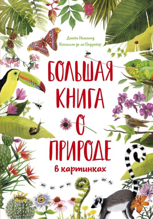 Энциклопедии Бедуайер К. Большая книга о природе в картинках купить,NaN