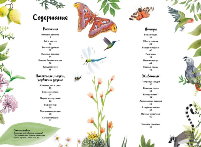 Энциклопедии Бедуайер К. Большая книга о природе в картинках купить,NaN