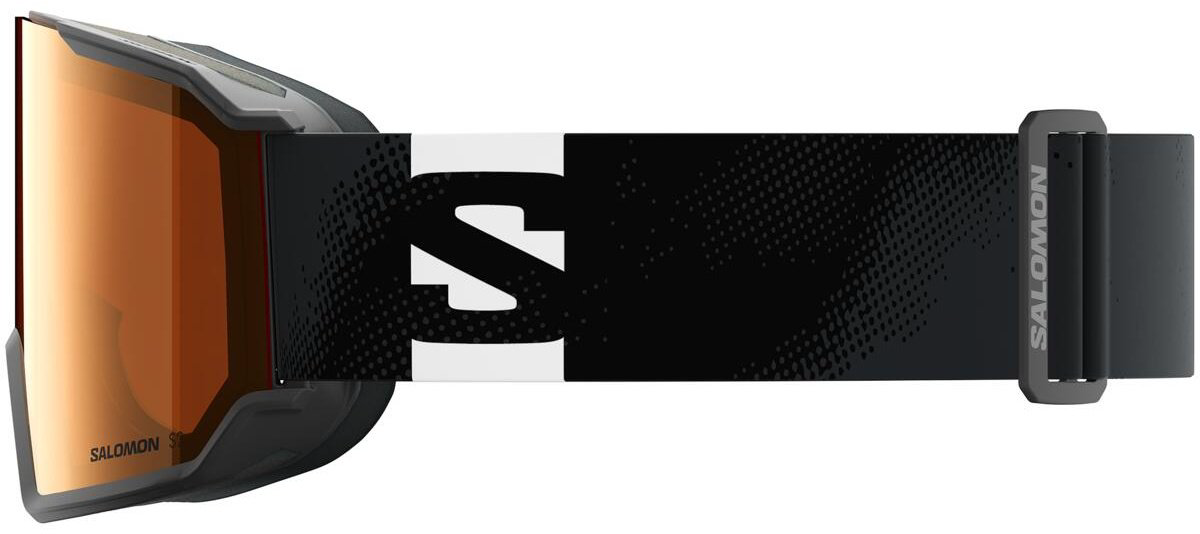 Маска горнолыжная Salomon S/View 3 Access L47920300 черный размер one size купить,NaN