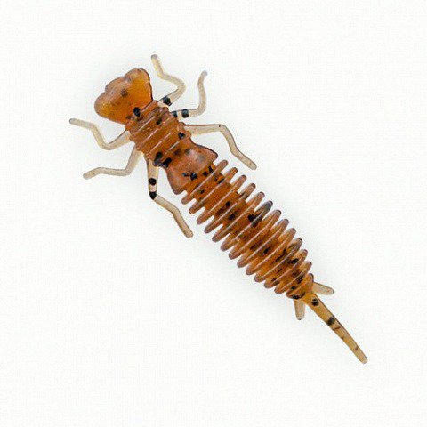 Приманка Fanatik Larva 3.5 цвет 002 4шт купить,NaN