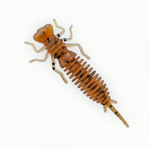 Приманка Fanatik Larva 2 цвет 002 8шт купить,NaN