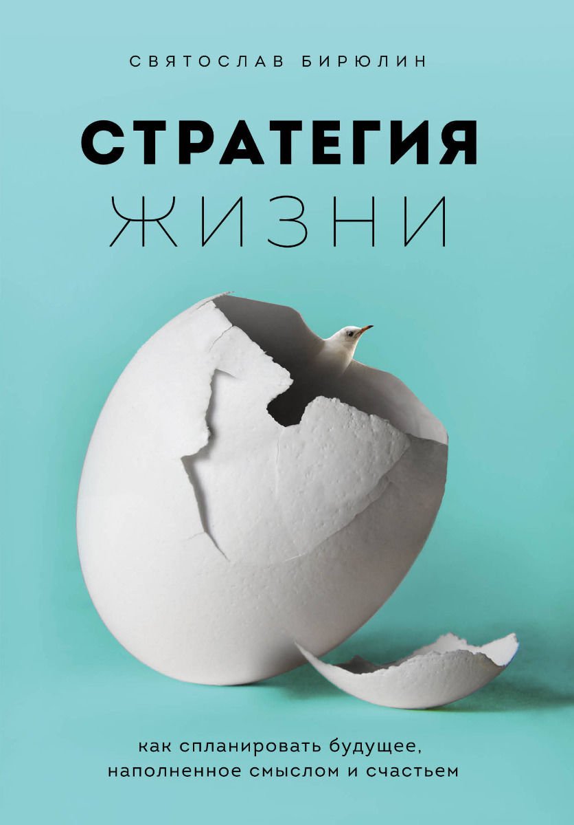 Психология Бирюлин С. Стратегия жизни. Как спланировать будущее, наполненное смыслом и счастьем купить,NaN