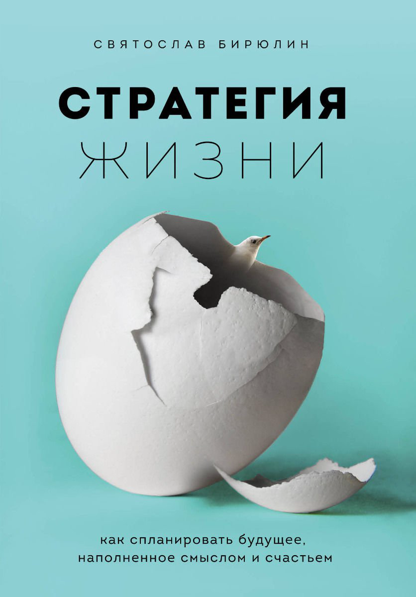 Психология Бирюлин С. Стратегия жизни. Как спланировать будущее, наполненное смыслом и счастьем купить,NaN
