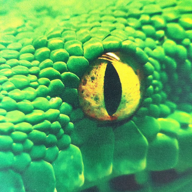 Коврик для мыши ViTi Mouse pad V-T Snake  купить,927