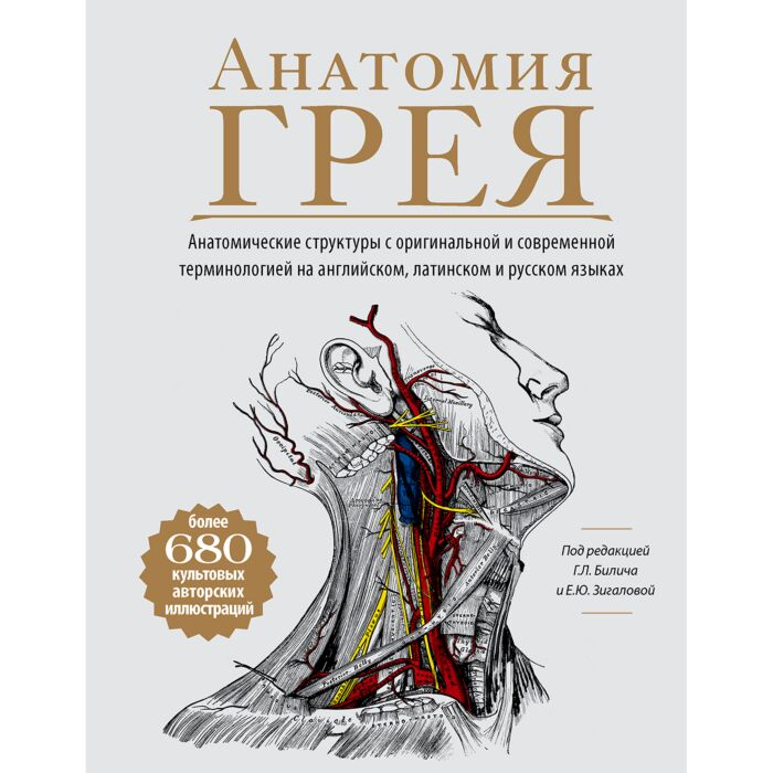 Медицина Билич Г.Л. Зигалова Е.Ю. Анатомия Грея купить,NaN