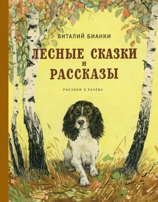 Детская литература Бианки В.В. Лесные сказки и рассказы купить,NaN