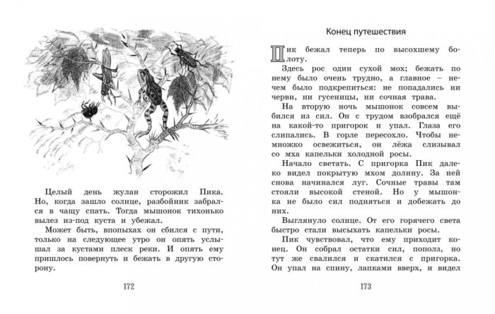 Детская литература Бианки В.В. Лесные сказки и рассказы купить,NaN