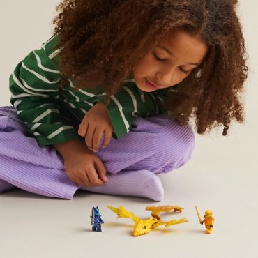LEGO Удар восходящего дракона Арина Ninjago 71803, деталей 27 шт купить,NaN