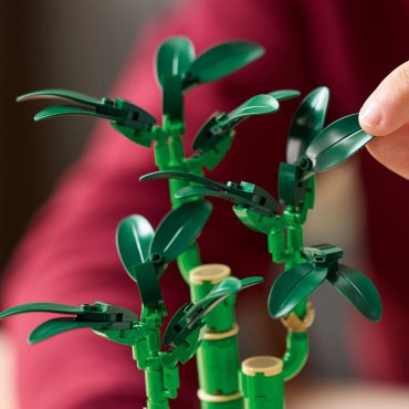 LEGO Бамбук удачи 10344, деталей 325 шт купить,NaN
