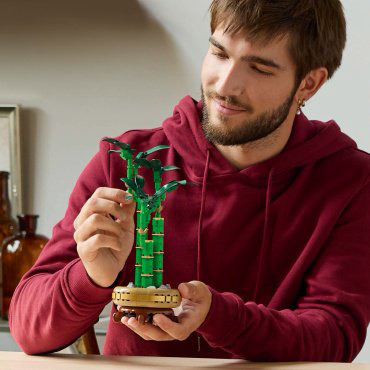 LEGO Бамбук удачи 10344, деталей 325 шт купить,NaN