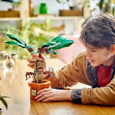 LEGO Мандрагора Harry Potter 76433, деталей 579 шт купить,0