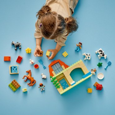 LEGO Уход за животными на ферме DUPLO 10416, деталей 74 шт - ForteMarket LEGO Уход за животными на ферме DUPLO 10416, деталей 74 шт купить,0