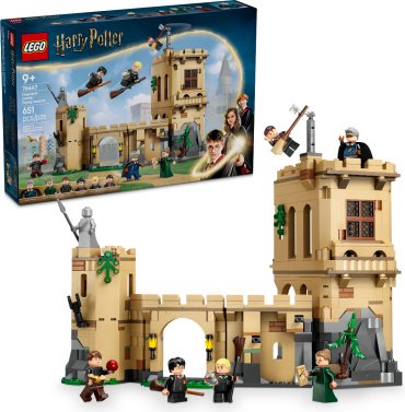 LEGO Уроки полетов Harry Potter 76447, деталей 651 шт