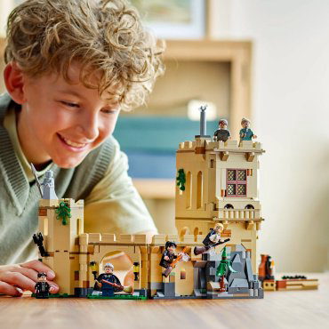 LEGO Уроки полетов Harry Potter 76447, деталей 651 шт купить,NaN