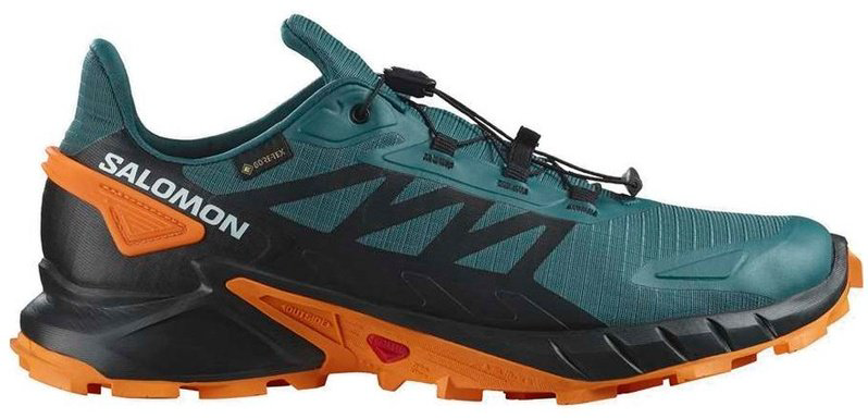 Треккинговые кроссовки Salomon Supercross 4 GTX зеленый купить,NaN